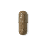 Organic Lion's Mane